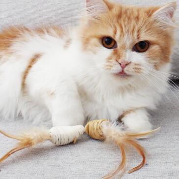 2023新作★♪猫のおもちゃ★♪遊び★可愛いペット★玩具★猫用おもちゃ★歯ぎしり★ペット用品