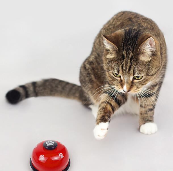 2023新作★♪犬のおもちゃ★♪遊び★可愛いペット★玩具★猫犬兼用おもちゃ★ペット用品