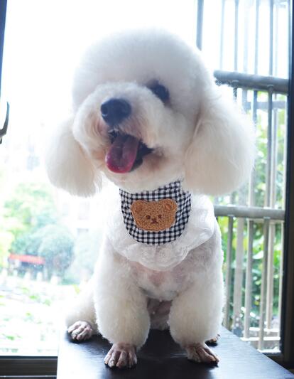 【ペット用品】2023新作★♪ペット用首輪★♪可愛いネックレス★犬用首輪★♪サイズ XS-M