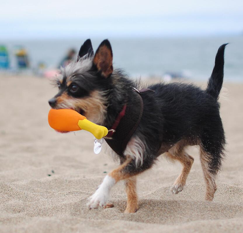 2023新作★♪犬のおもちゃ★♪遊び★可愛いペット★玩具★犬用おもちゃ★歯ぎしり★ペット用品