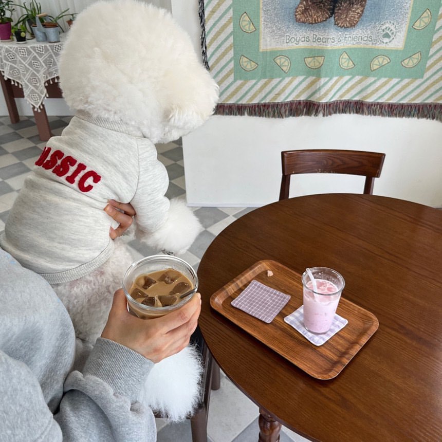 ★超人気 ワンちゃんの服 ペット服 ★犬服 ★ペット用品