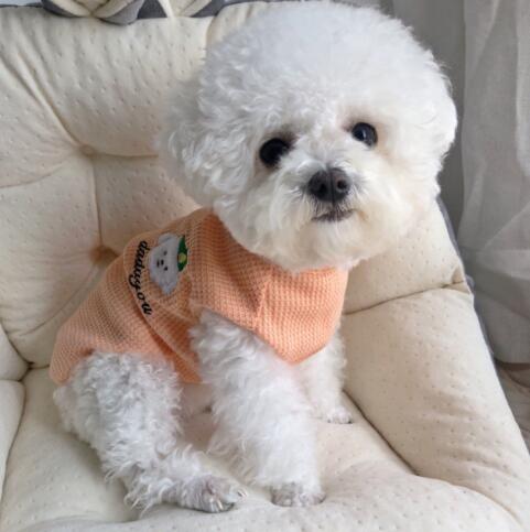 【ペット用品】★♪可愛いペット服★♪春夏★♪猫犬兼用★新作★♪ S-XXL