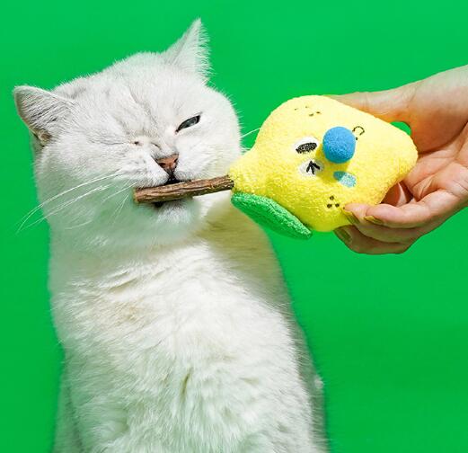 2023新作★♪猫のおもちゃ★♪遊び★可愛いペット★玩具★猫用おもちゃ★歯ぎしり★ペット用品