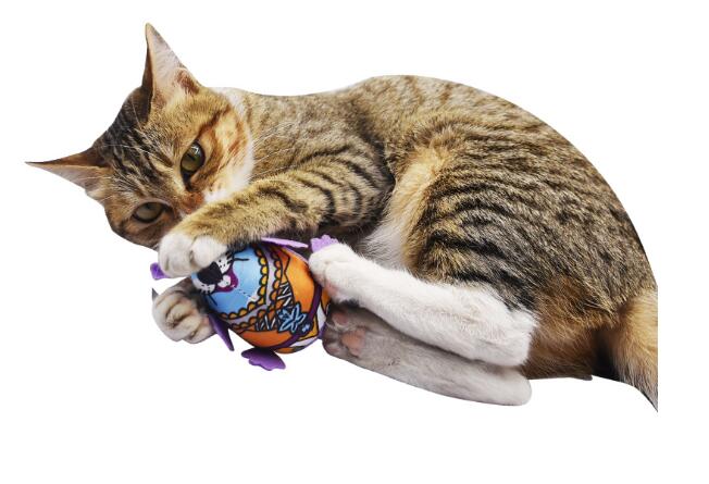 2023新作★♪猫のおもちゃ★♪遊び★可愛いペット★玩具★猫用おもちゃ★歯ぎしり★ペット用品