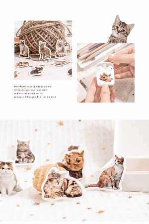 塩系文具 シール貼紙 手帳素材 封口貼 春新作 可愛い  アニマル動物 猫図鑑 45枚入