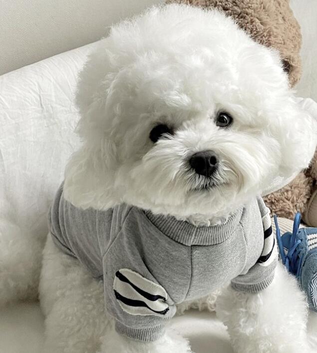 ★超人気 ワンちゃんの服 ペット服 ★犬服 ★ペット用品