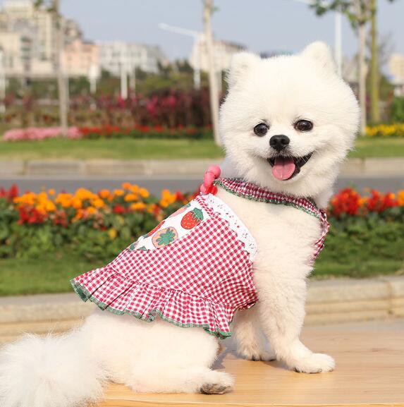 新款★♪【ペット用品】★♪可愛いペット服★♪春夏★♪犬服★ 2色 XS-2XL