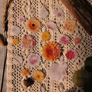 文具PETシール貼紙封口貼 手帳素材 アンティーク 植物花葉キノコ サボテン イラスト 20枚入