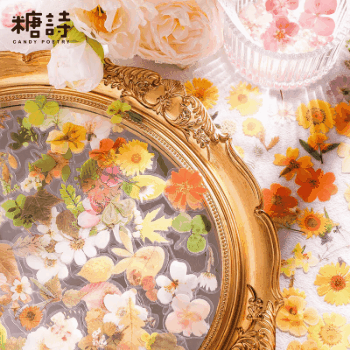 春夏新作文具 PETシール貼紙 手帳素材 アンティーク カフェ風イラスト 植物花葉 封口貼 標本図鑑 45枚入