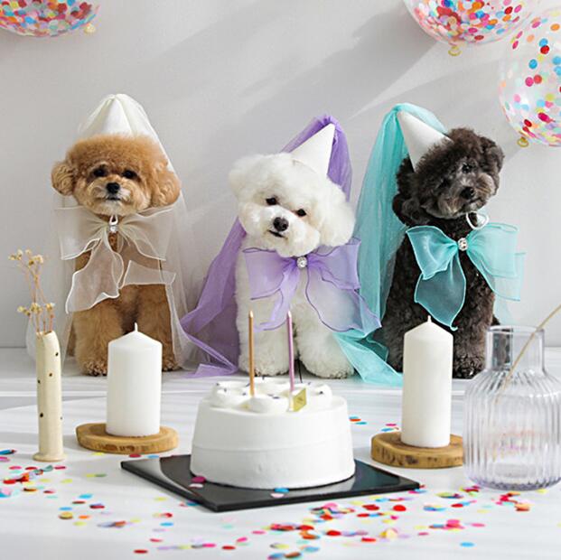 犬 首輪 ペット　帽子　よだれかけ　ペット用品　お誕生日 アクセサリー 新作 犬猫兼用 きれいめ