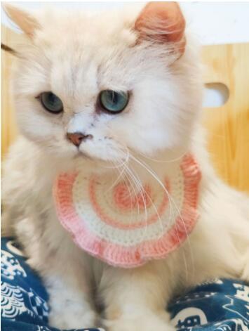 【ペット用品】2023新作★♪ペット用首輪★♪可愛いネックレス★猫用首輪★♪