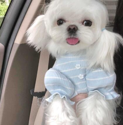 新作★ペット用品★ペット服★犬服★ネコ服★S-2XL