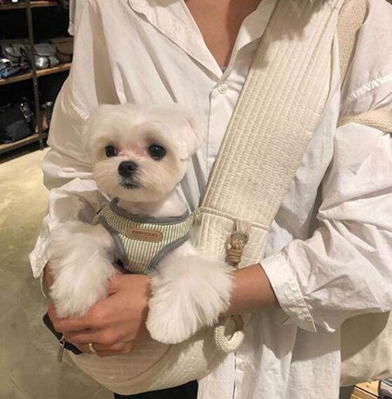 2023★ペットバッグ★外出バッグ★肩掛け鞄★ショルダーバッグ